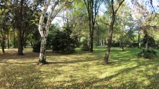 Wczesną Jesienią Parku — Wideo stockowe
