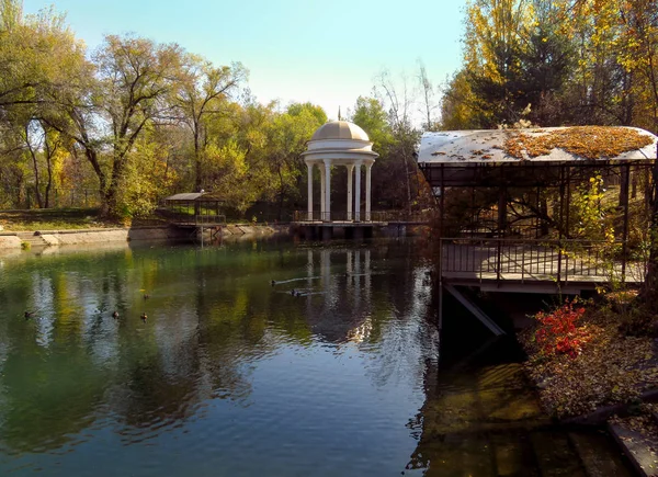 Pond in a city park in autumn — Stock Photo, Image