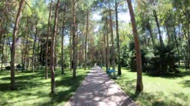 Şehir parkındaki bir sokak boyunca POV hareketi