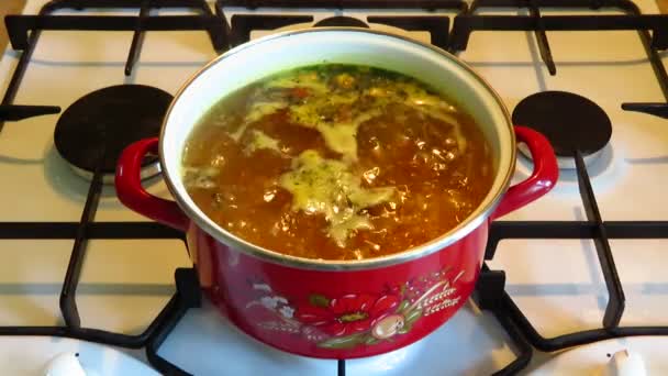 Sopa Verduras Cocida Una Sartén Estufa Gas — Vídeo de stock