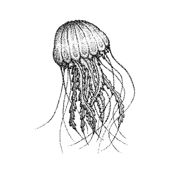 Dotwork Sea Jellyfish - Stok Vektor