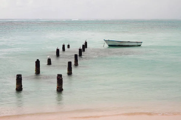 Support Destroyed Pier Boat Ocean Anse Sent Pointe Pitre Guadeloupe — Stock Photo, Image