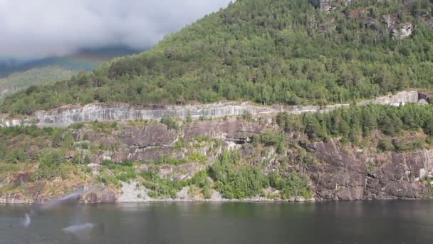 Gaviotas Costas Rocosas Hellesylt Noruega — Vídeos de Stock