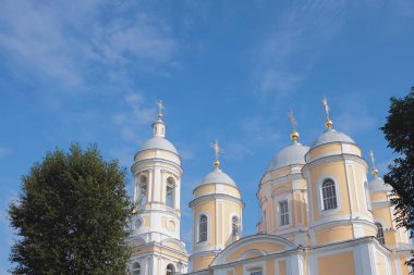 Çan Kulesi ve kubbe. St. Vladimir Katedrali, Saint Petersburg, Rusya Federasyonu