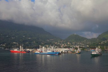 Seaport su alan tropik adada. Victoria, Mahe, Seyşel Adaları