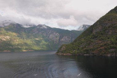 Temmuz, sabah, fiyort. Cehennem, Geiranger, Norveç