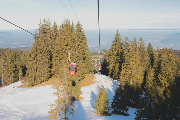 Pilatus Luzern Schweiz Jan 2013 Wald Und Seilbahn Drüber — Stockfoto