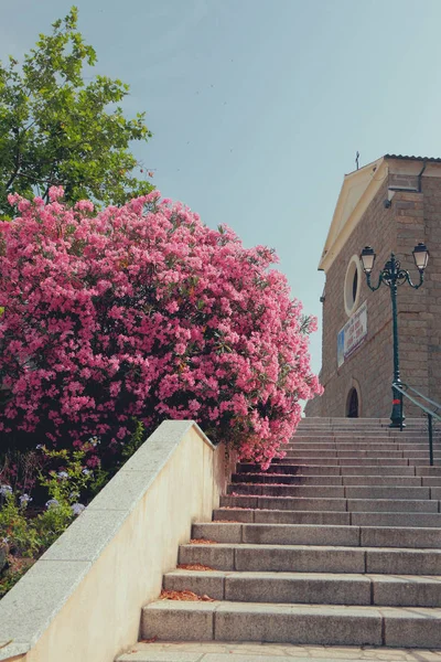 Kiliseye Merdivenler Propriano Korsika Fransa — Stok fotoğraf