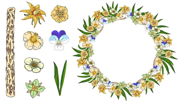 Bahar bitkileri ve genç çiçeklerden oluşan bir çelenk. Çiçek elementleri seti.