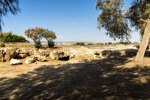 Тень от большого дерева рядом с древними катакомбами в археологическом парке Пафоса, Цитрус
