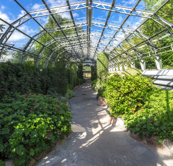 Sendero Través Uno Los Pasillos Con Flores Plantas Los Jardines — Foto de Stock