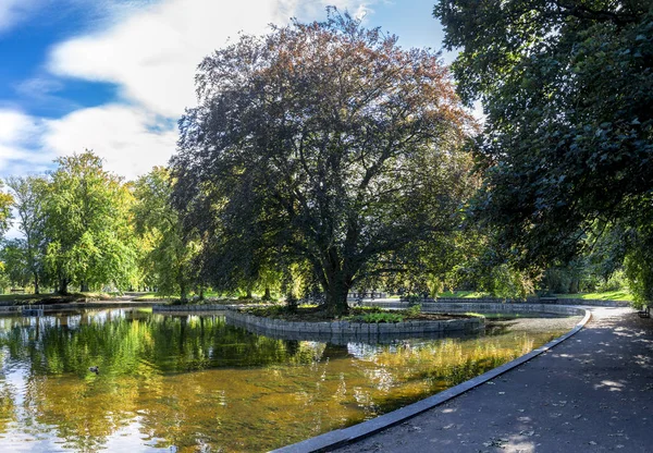 Veduta Piccolo Stagno Poco Profondo Nel Centro Duthie Park Aberdeen — Foto Stock