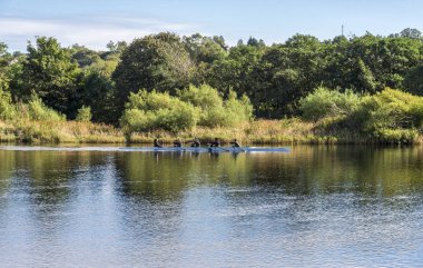 River Dee, Aberdeen, İskoçya'da bir dört adam kayık kürek içinde pratik sporcular bir grup