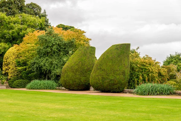 Zwei Große Flaschenförmige Pflanzen Gepflegten Gärten Von Crathes Castle Aberdeenshire — Stockfoto