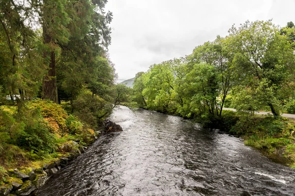 River Eachaig Flowing Thru Benmore Botanic Garden Loch Lomond Trossachs — Stock Photo, Image