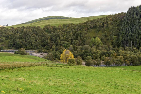 Widok Rzeki Dee Biegnącej Przez Małą Dolinę Parku Narodowym Cairngorms — Zdjęcie stockowe