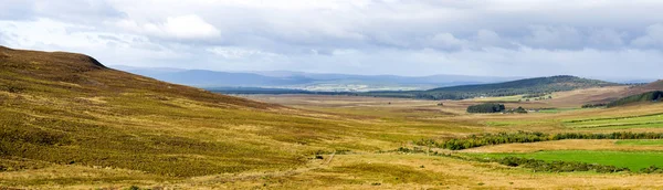 Malownicza Jasnożółta Dolina Sezonie Jesiennym Parku Narodowym Cairngorms Szkocja — Zdjęcie stockowe