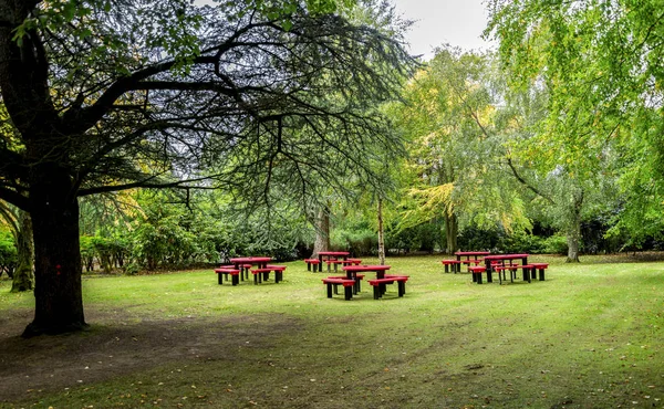 Pequeño prado con mesas rojas y bancos para picnics familiares en Hazlehead park, Aberdeen, Escocia — Foto de Stock