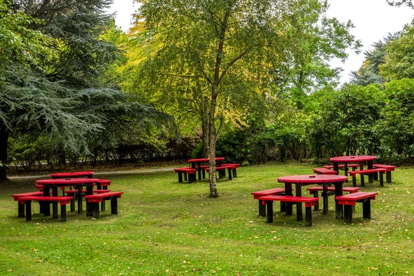 Hazlehead Park, Aberdeen, İskoçya 'da sahne masaları ve kırmızı boyalı banklar ve siyah boyalı bacaklar.