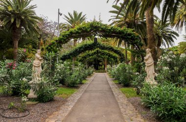 Garcia Sanabria Park, Santa Cruz de Tenerife, Kanarya Adaları, İspanya 'da heykelleri olan manzaralı bir bahçede yürüyüş yolu.