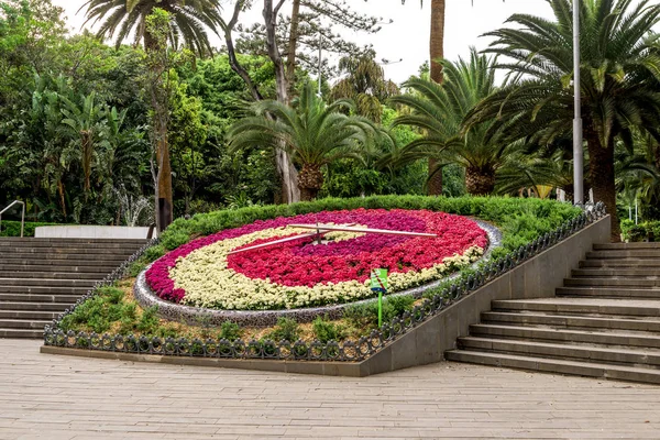 Reloj de flores flanqueado por escaleras en Garcia Sanabria park, Santa Cruz de Tenerife, Islas Canarias, España — Foto de Stock