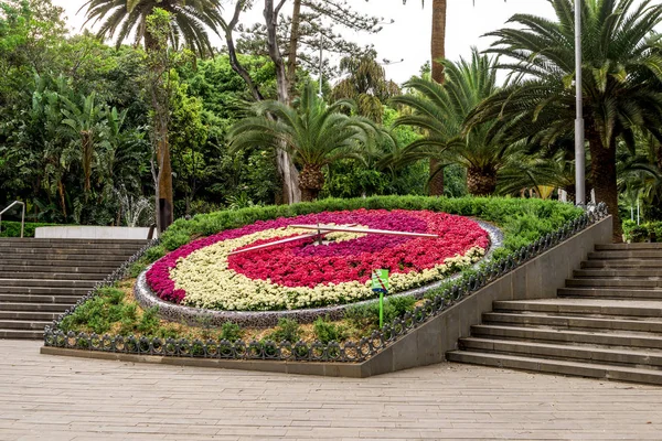 Garcia Sanabria Parkı, Santa Cruz de Tenerife, Kanarya Adaları, İspanya 'daki merdivenlerle çevrili çiçek saati.