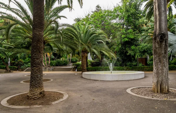 Una piccola fontana rotonda tra orologio floreale e fontana centrale nel parco pubblico Garcia Sanabria, Santa Cruz de Tenerife, Canarie — Foto Stock