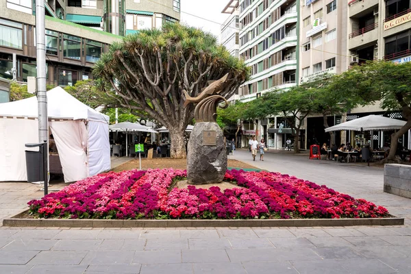 Una vista de la plaza Chicharro y una pequeña escultura del jurel instalado que se convirtió en el símbolo alegórico de la ciudad, Santa Cruz de Tenerife, Islas Canarias, España — Foto de Stock