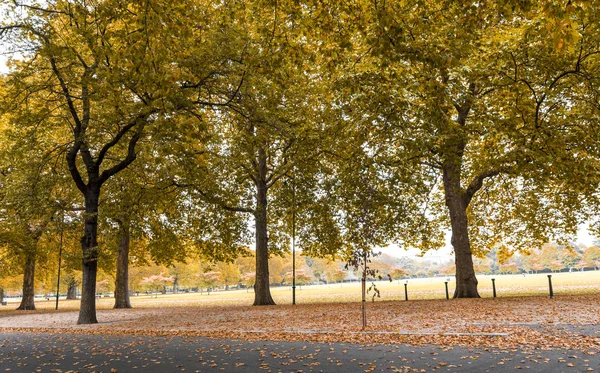 Battersea park en otoño y uno de los callejones cubiertos de hojas amarillas, Londres, Reino Unido — Foto de Stock