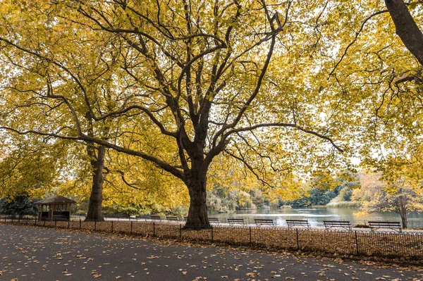 Callejón panorámico cubierto de hojas amarillas caídas junto a un lago navegable en Battersea park, Londres, Reino Unido — Foto de Stock