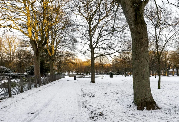 An alley covered by snow in Victoria Park early morning, Aberdeen, Scotland — Stock Photo, Image