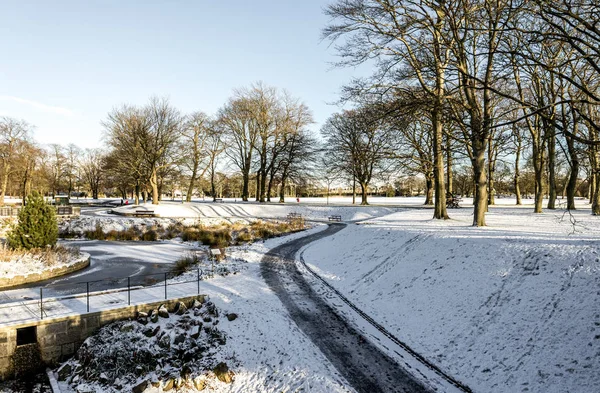 苏格兰，阿伯丁，冬季，一条滑溜的冰道穿过Duthie公园 — 图库照片
