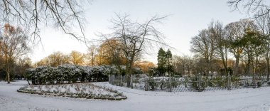 Kış mevsiminde Victoria Park 'ının botanik bölümü, Aberdeen, İskoçya