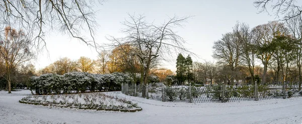 Botanical section of Victoria park during winter season, Aberdeen, Scotland — Stock Photo, Image