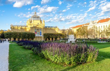 King Tomislav Meydanı 'ndaki küçük bir parkta güzel mor çiçekler, Zagreb, Hırvatistan
