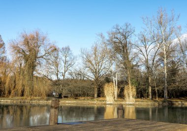 Macaristan 'ın Szigetvar kentindeki Zrinyi Kalesi' nin yanındaki küçük bir parkta kış mevsimi manzarası