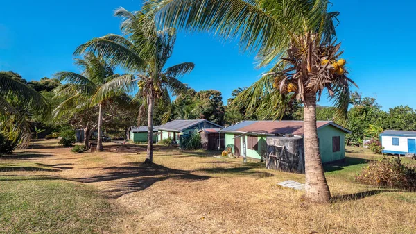 Fiji Pueblo Detrás Las Palmeras — Foto de Stock