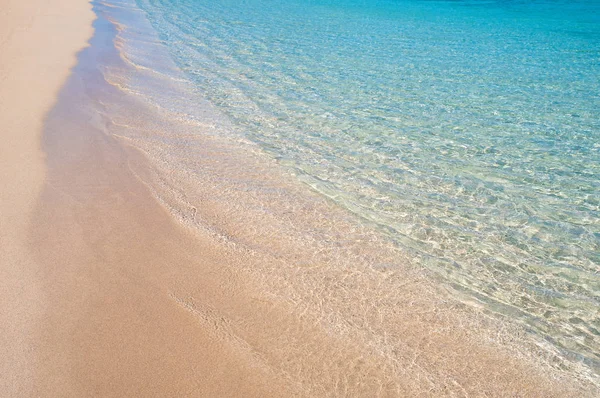 Tropischer Leerer Strand Einem Sonnigen Tag Stockbild