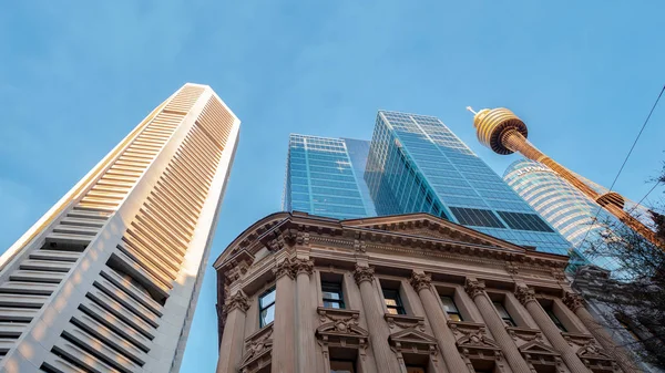 Pitkät liikerakennukset ja Sydney Tower Eye sinistä taivasta vasten — kuvapankkivalokuva