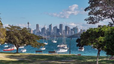 Arka planda Sydney silueti ile yelkenli tekneler