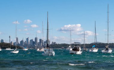Arka planda Sydney silueti ile çapa yelkenli tekneler