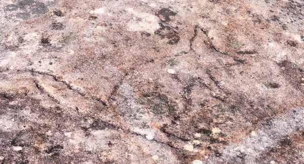 Искусство резьбы по камню аборигенов в Королевском национальном парке в Сиднее — стоковое фото