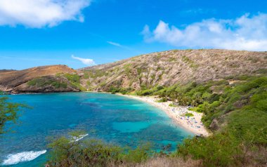 Hawaii Oahu adasında Hanauma Bay plaj