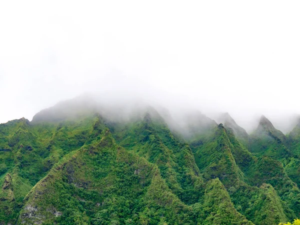 Exuberantes cumbres verdes de montaña desapareciendo en la niebla — Foto de Stock