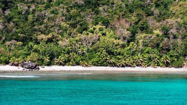 Leerer tropischer Strand und üppige grüne Vegetation — Stockfoto