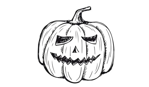 Ensemble Citrouilles Halloween Illustration Dessinée Main — Image vectorielle