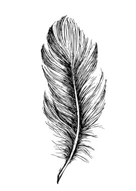 Beyaz arkaplanda el çizimi tüy