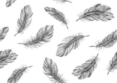 Beyaz arkaplanda el çizimi tüy