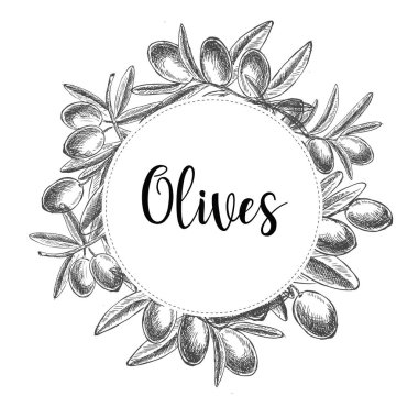 Zeytinler el çizimi biçimi, vektör çizimleri.