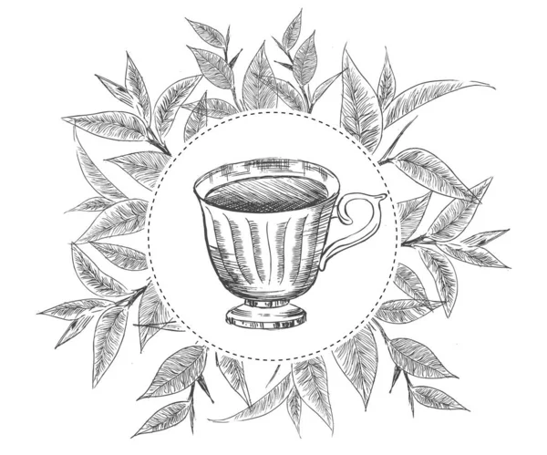 Mão Desenhada Uma Xícara Chá — Vetor de Stock